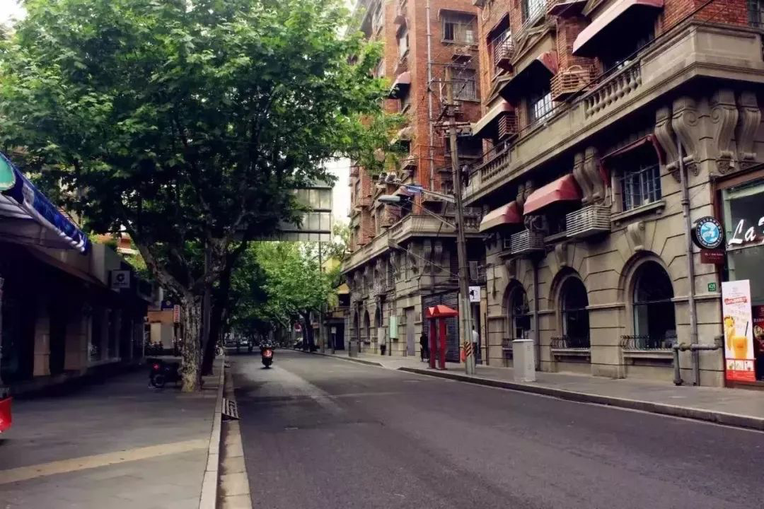 漫步武康路，来一场充满历史底蕴的城市“微旅游” | 极目新闻