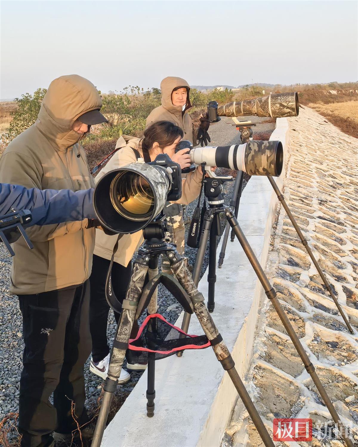 8f2c38f024d47c5a8c6a3e44c2ff0d04.jpg 8f2c38f024d47c5a8c6a3e44c2ff0d04.jpg