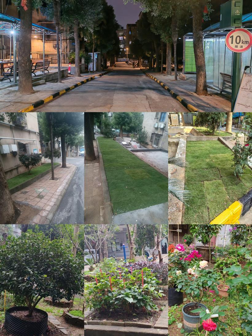 图片14.png 图片14.png