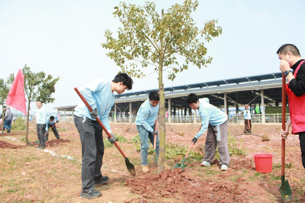 图片4.png 图片4.png