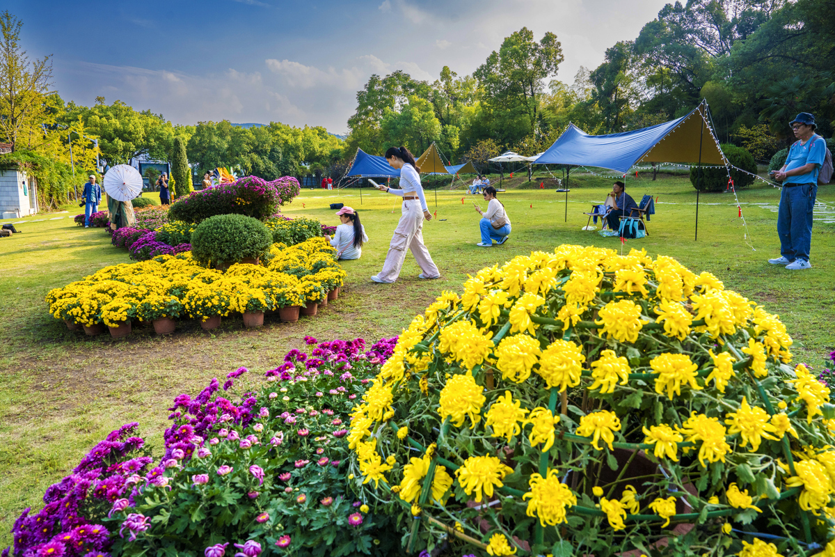 露营营地 李航、周巍摄.jpg