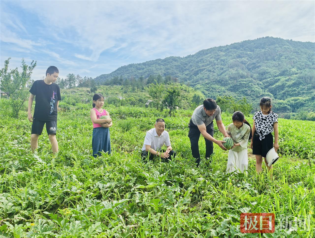 兵营西瓜因品质独特受群众喜爱。刘金红摄.png 兵营西瓜因品质独特受群众喜爱。刘金红摄.png