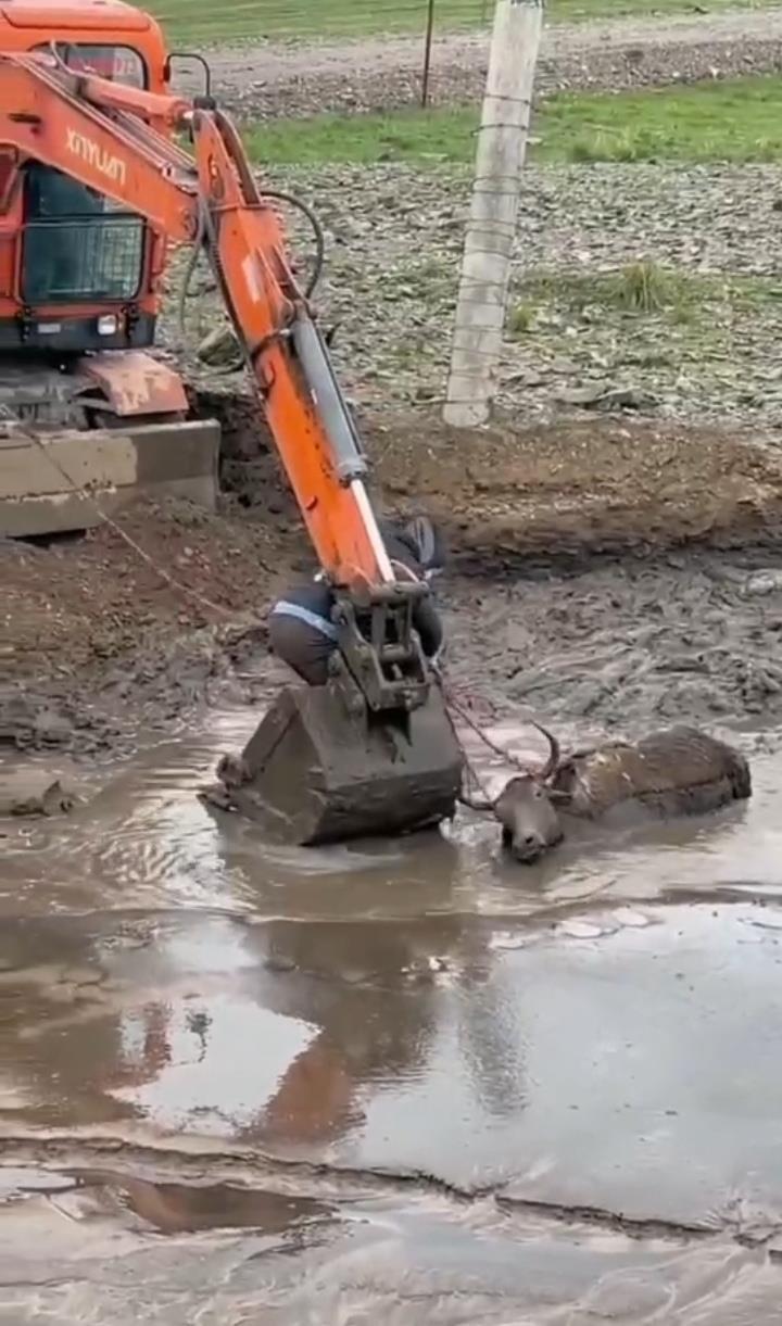 WechatIMG1020.jpeg WechatIMG1020.jpeg