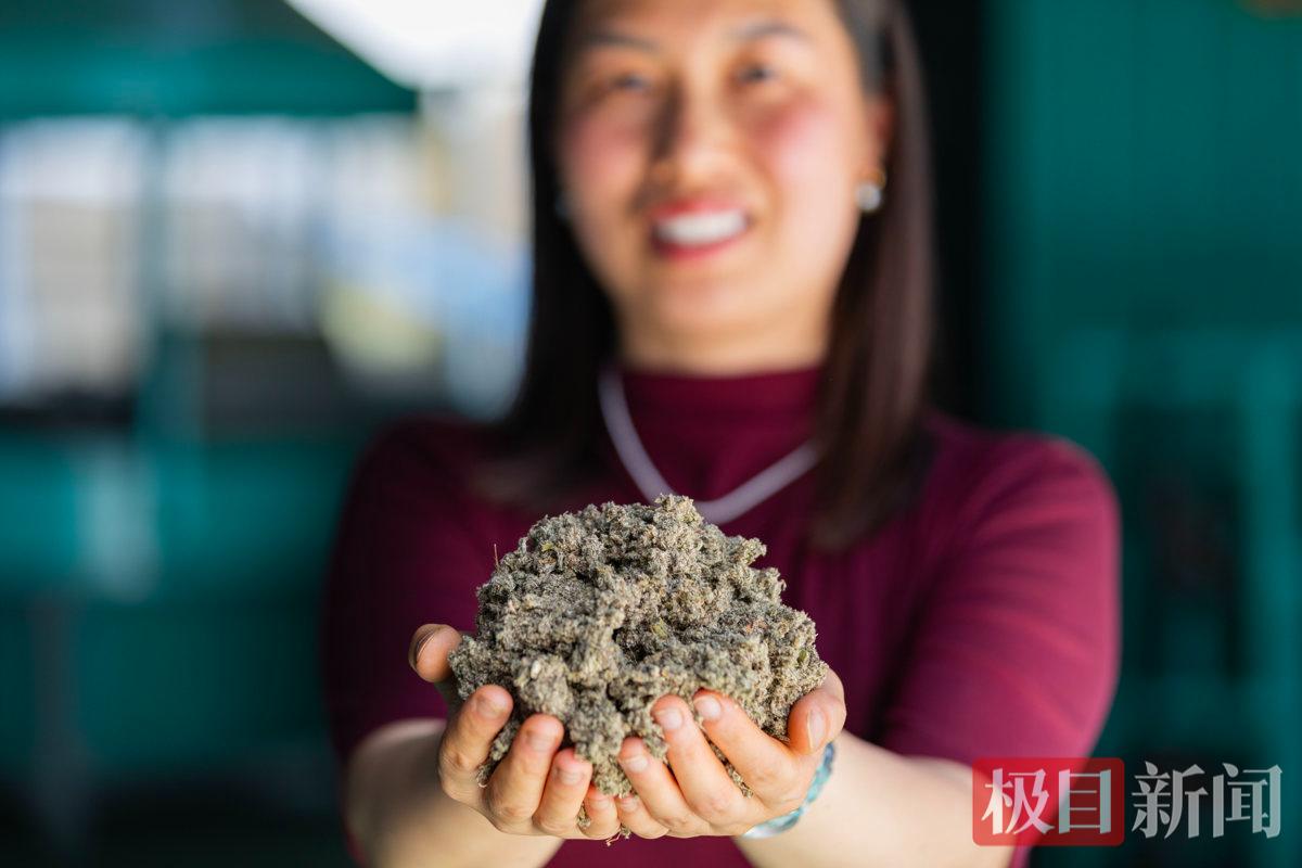 质地绵密的成品艾绒.jpg