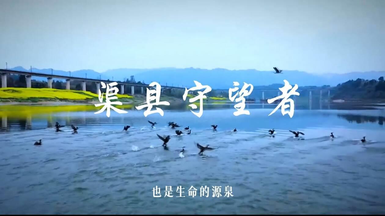 6fe84998fb0762c7f4c1d0649e56f3a6_720.jpg 6fe84998fb0762c7f4c1d0649e56f3a6_720.jpg