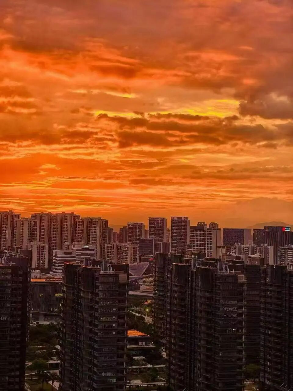 “桦加沙”逼近！珠海现绝美晚霞和双彩虹，当地人：担心台风来临之前太过宁静 | 极目新闻