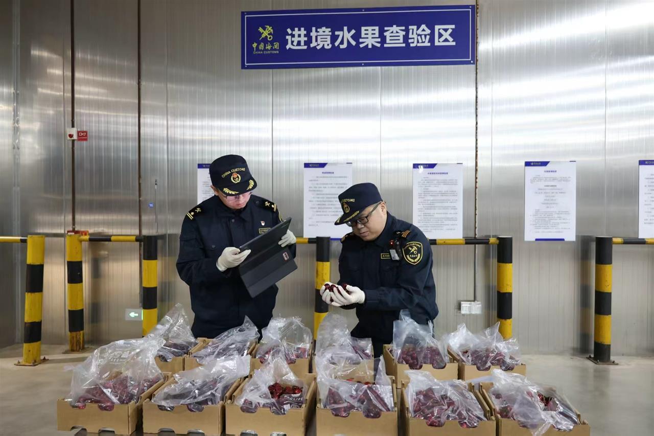 微信图片_20251215181833.jpg 微信图片_20251215181833.jpg