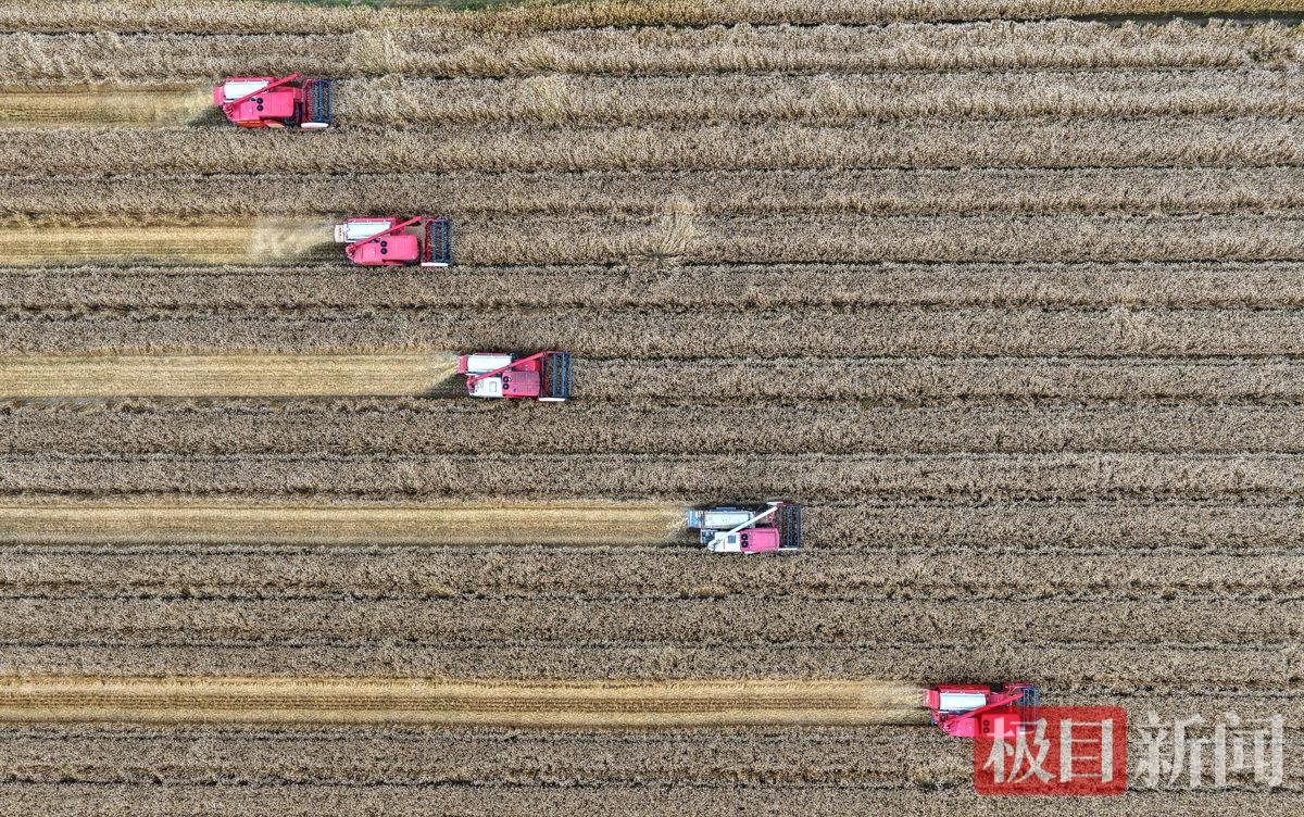 DJI_20260515100213_0022_D.jpg