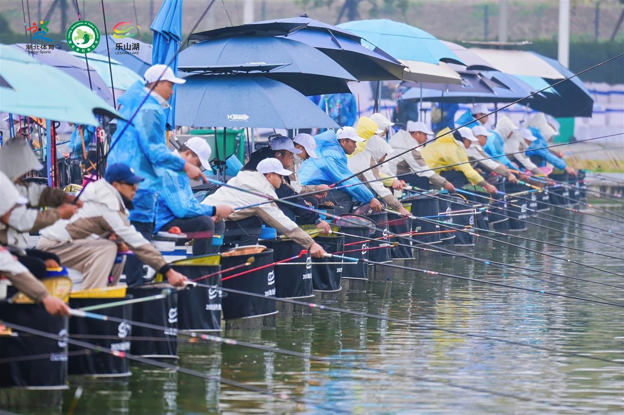 mmexport1761384608986.jpg mmexport1761384608986.jpg