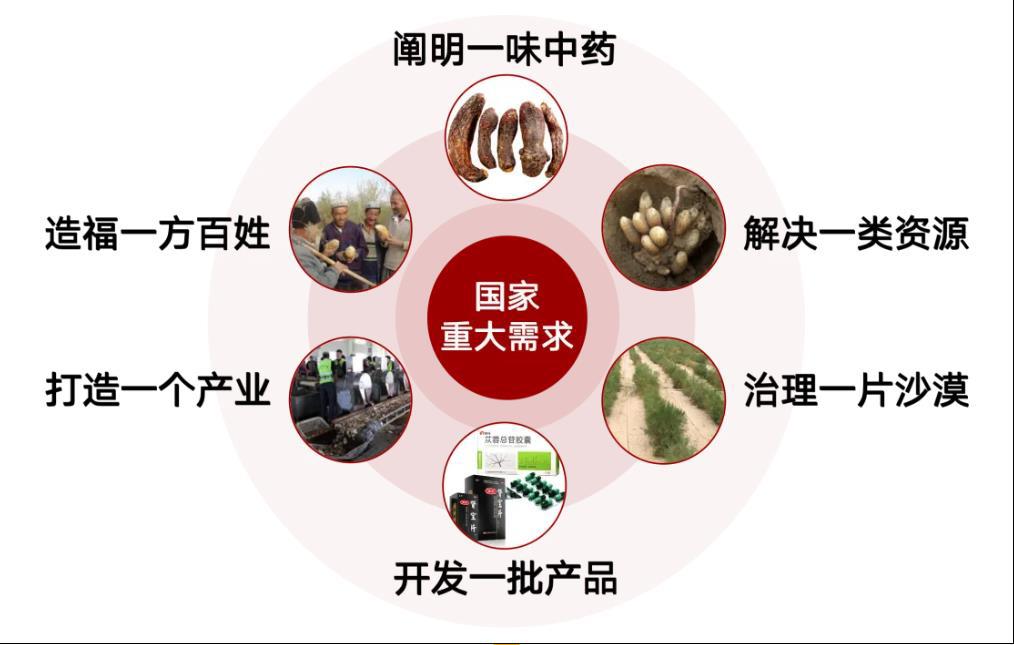 “沙漠濒危寄生中药肉苁蓉全产业链开发关键技术及其推广应用”项目.jpg