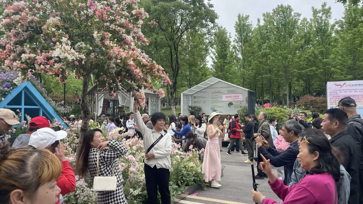 中轴线花街上的三角梅，游客排队拍照.jpg