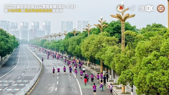 图片11.jpg