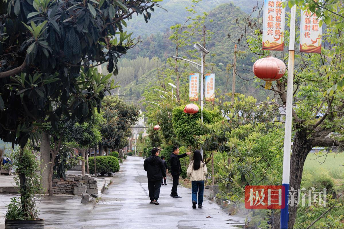 郧西县路灯“扮靓”和美乡村  邹景根摄1.png