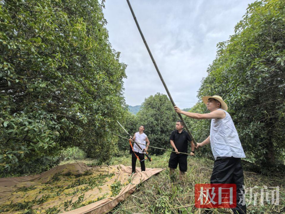 5C657FEE718A8362A99F14E02CCA5EB0.jpg 5C657FEE718A8362A99F14E02CCA5EB0.jpg