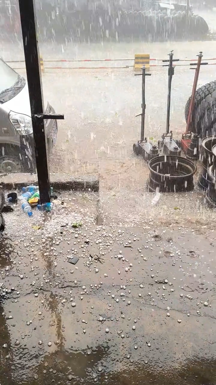 IMG_20260316_161436.jpeg IMG_20260316_161436.jpeg