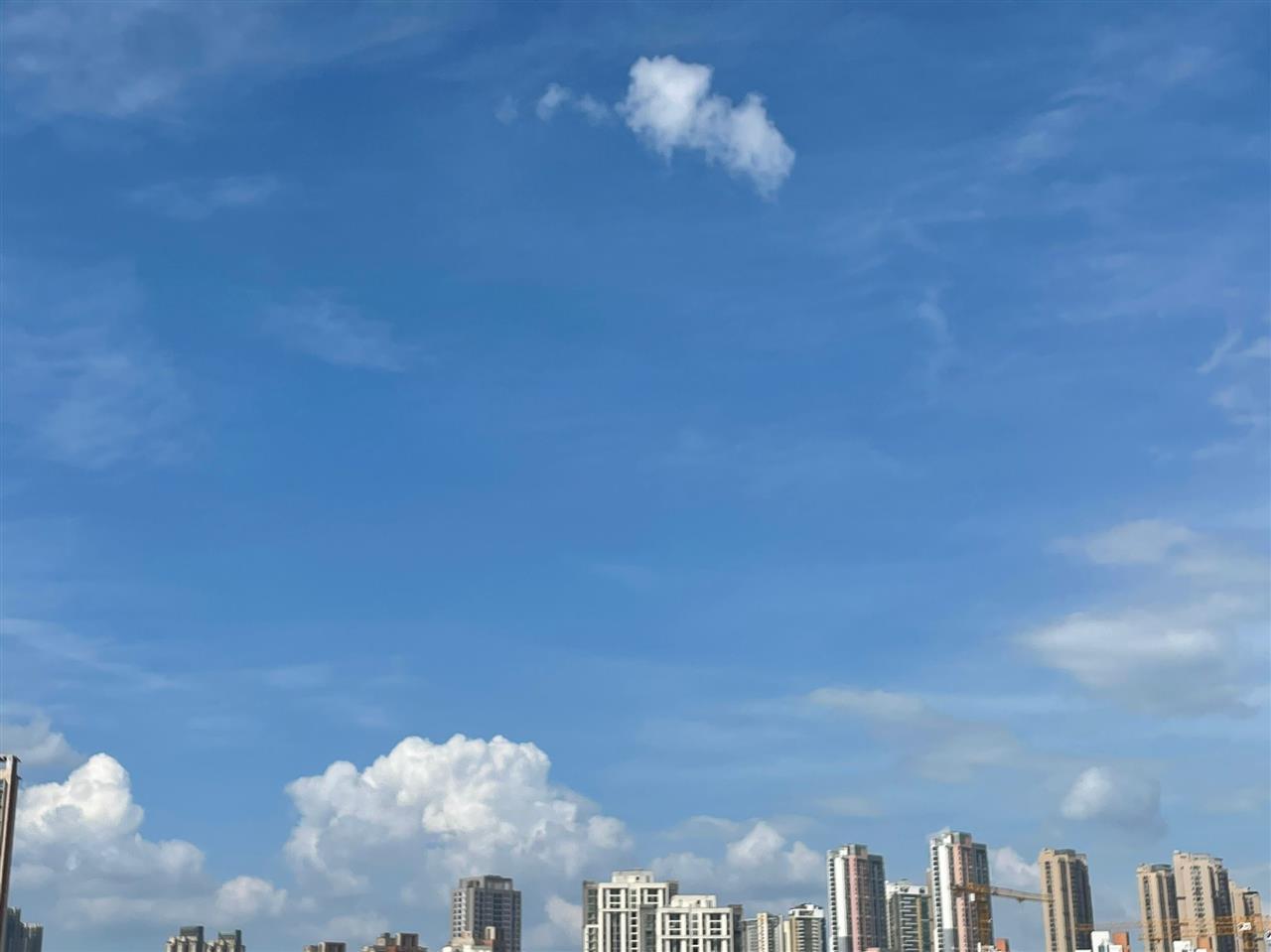 Image_2908693725295.jpg Image_2908693725295.jpg