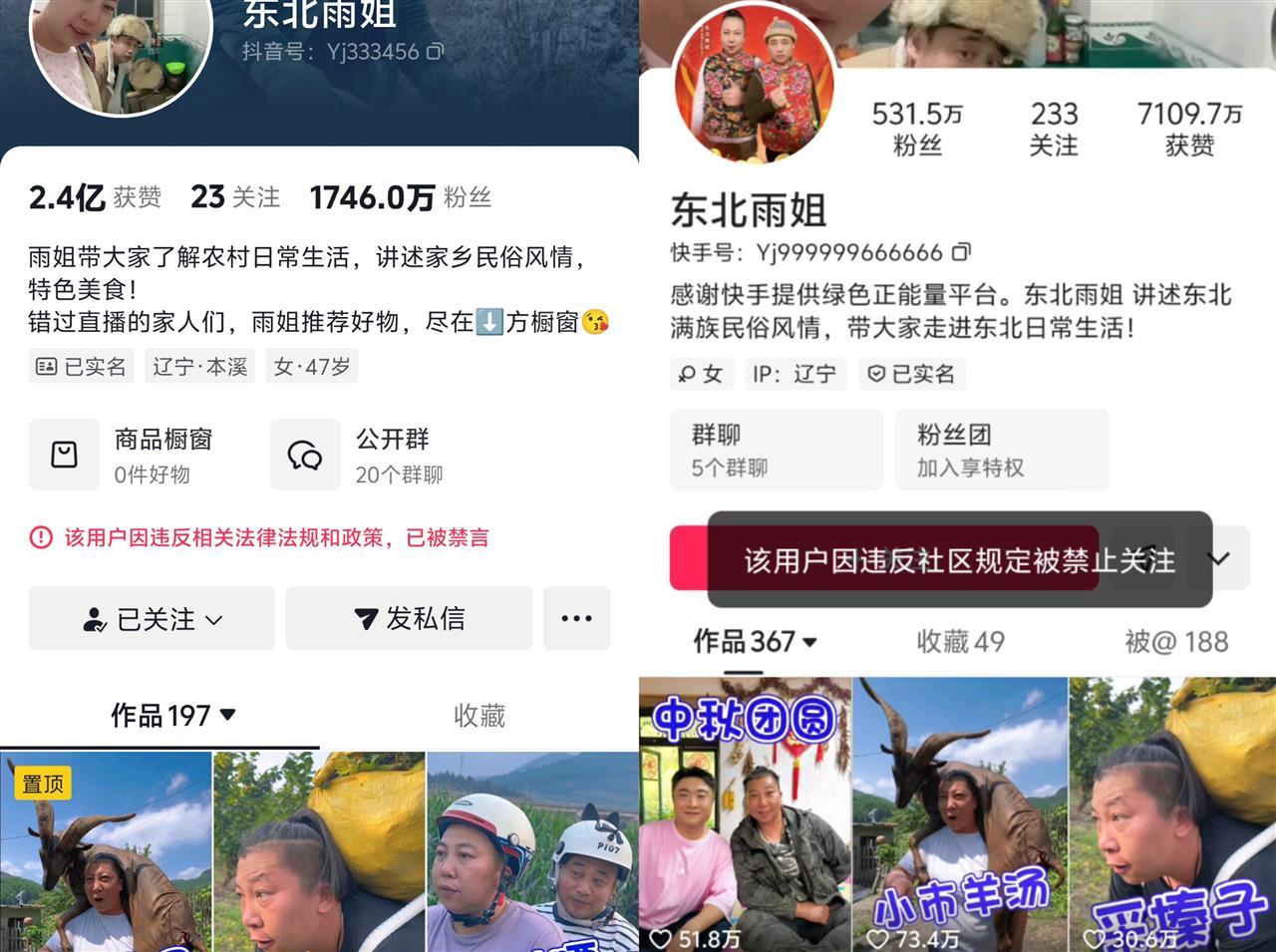 东北雨姐账号遭封禁引发关注，掉粉超500万，市场监管总局点名处理，复播前景未明