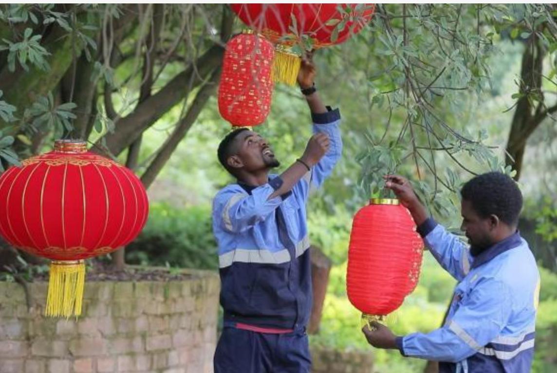 非洲 红灯笼.png