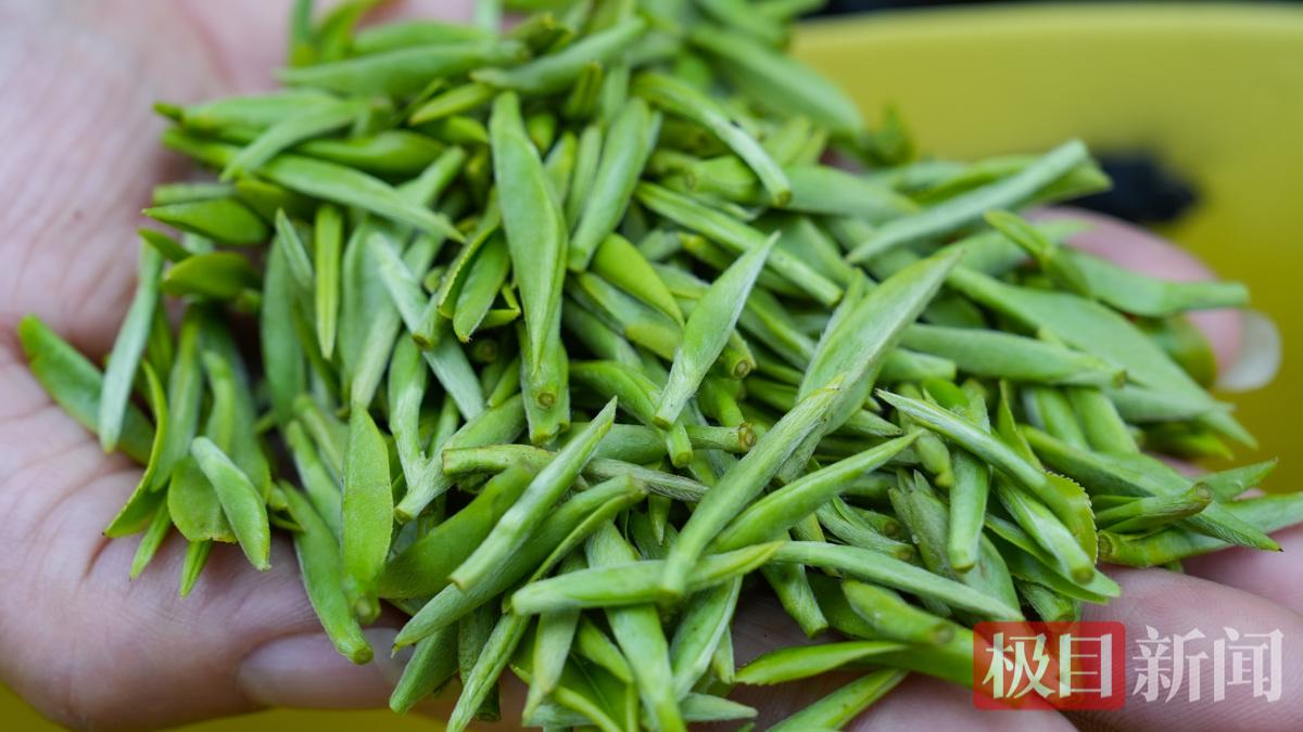 微信图片_20260227181407_590_158.jpg 微信图片_20260227181407_590_158.jpg