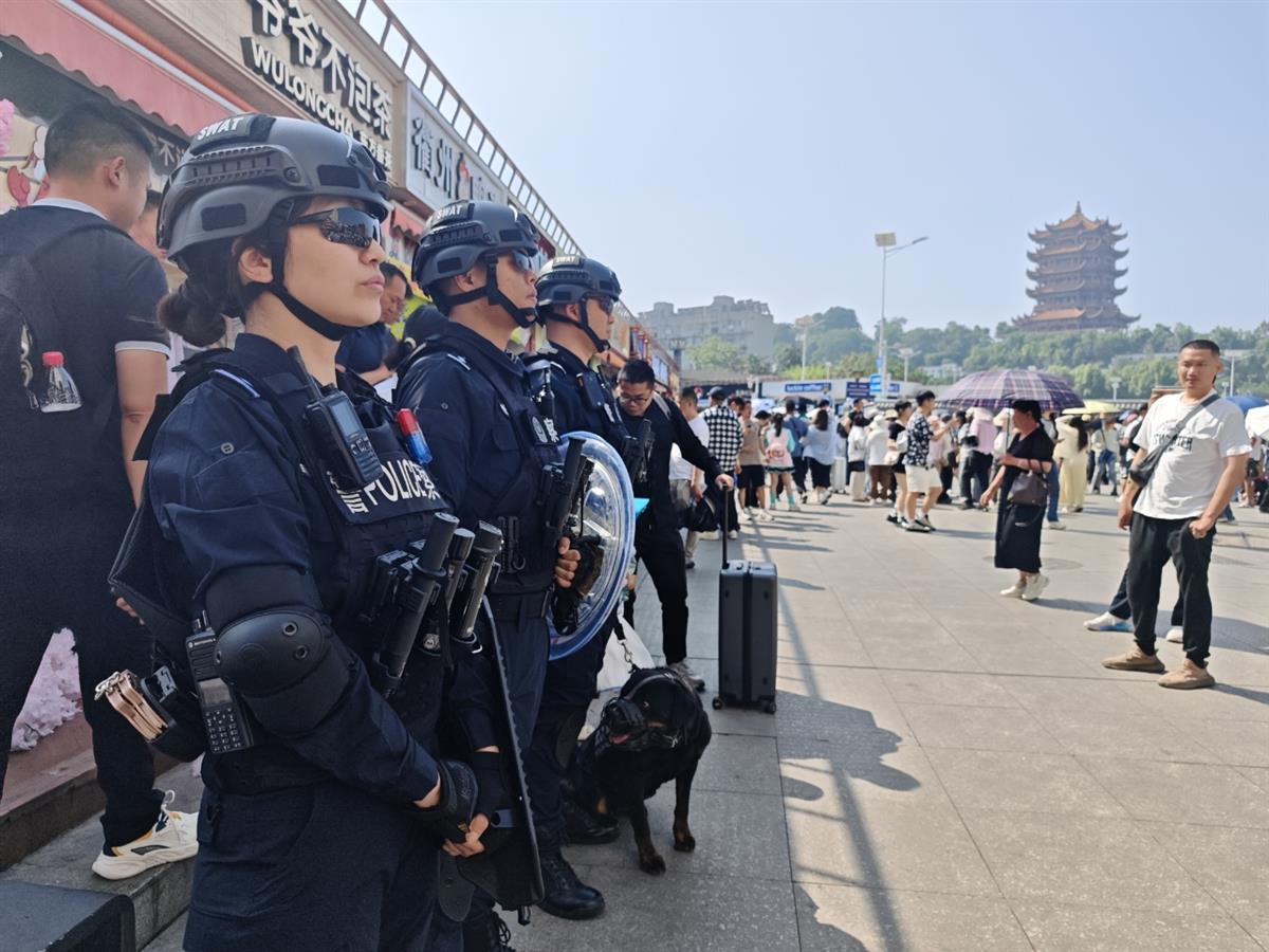 cb202505011819380527275wvc.jpg cb202505011819380527275wvc.jpg