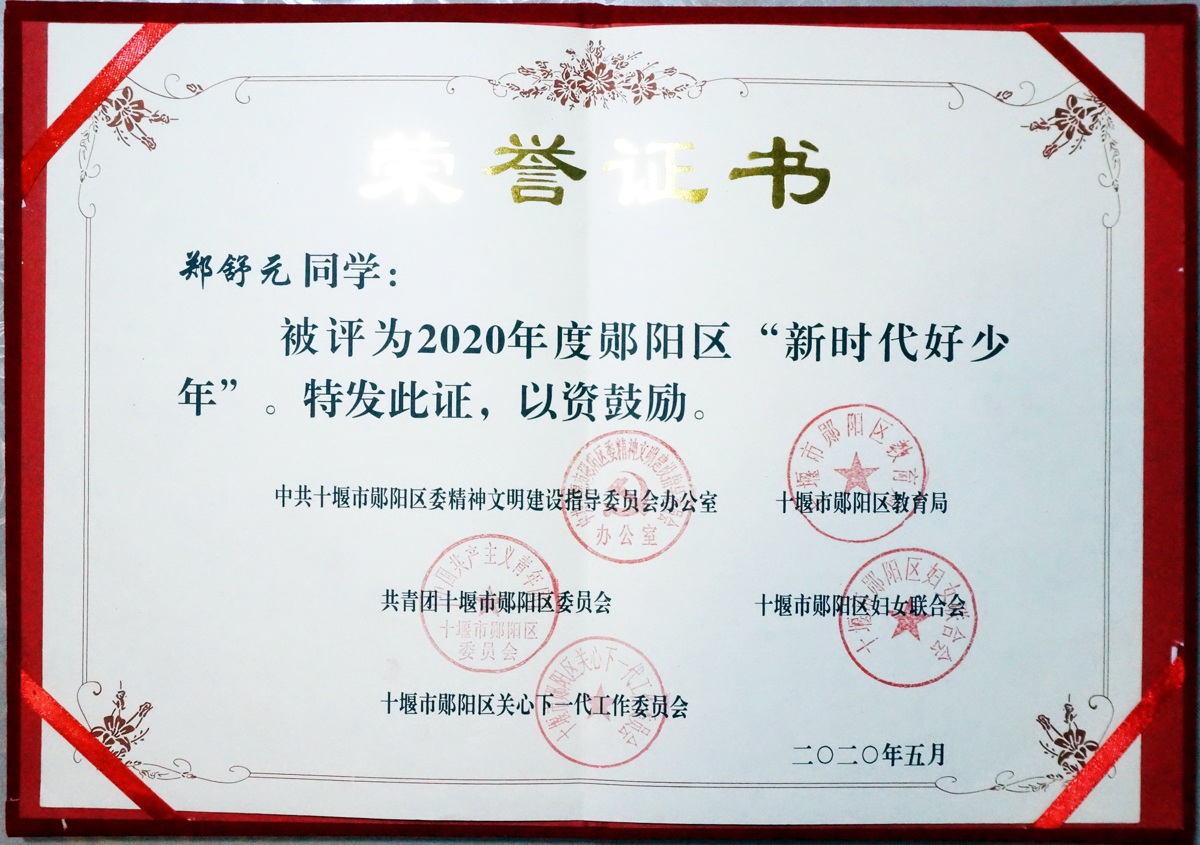 DSC08046图为11岁的郑书元荣获的荣誉证书。.jpg