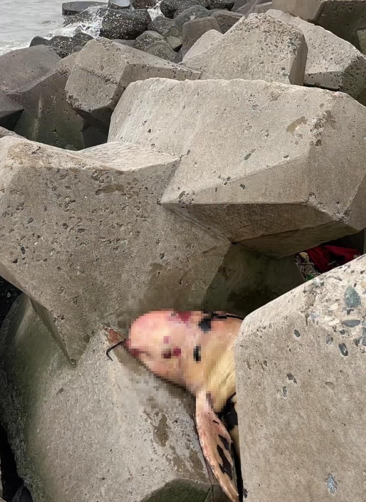 QQ20251006-192635.png QQ20251006-192635.png