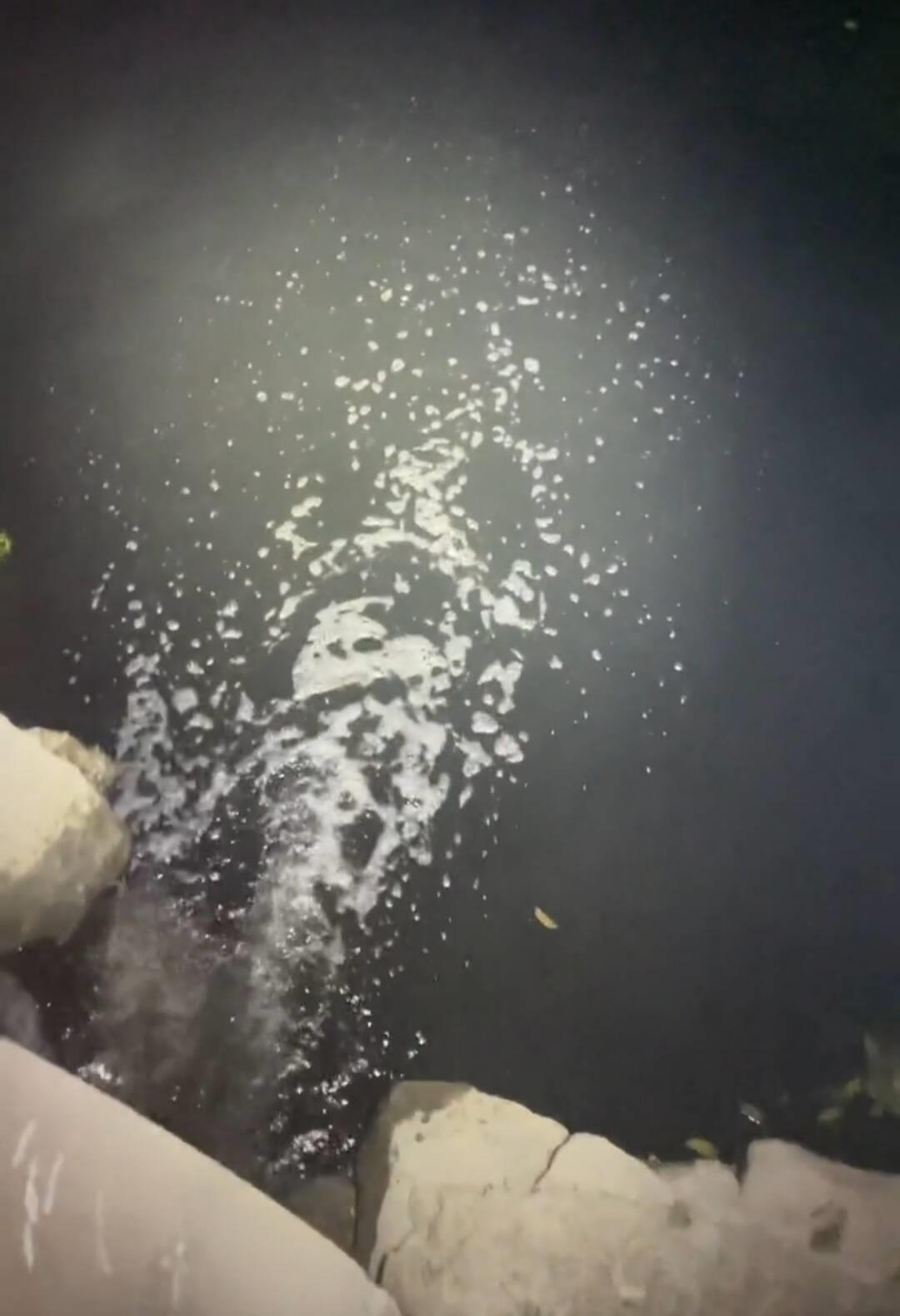 1D6B1D8E9CCDA3F38AD215411D176CB9.jpg 1D6B1D8E9CCDA3F38AD215411D176CB9.jpg