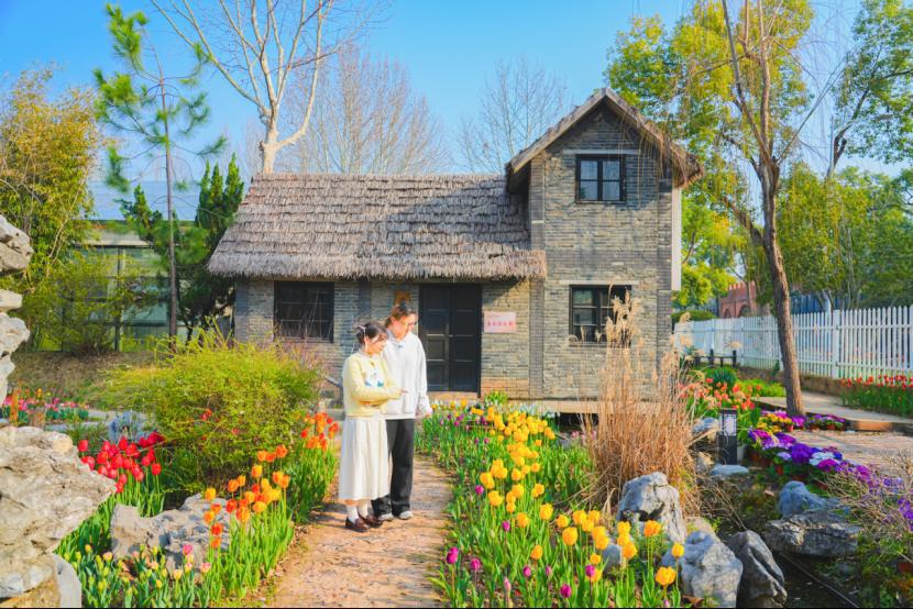 武汉生物工程学院2026年郁金香暨春菊展启幕313.png 武汉生物工程学院2026年郁金香暨春菊展启幕313.png