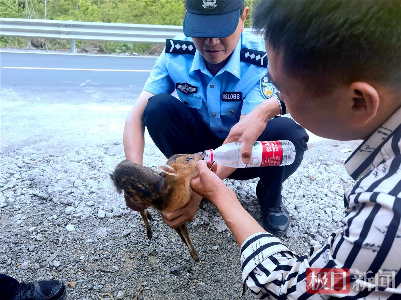 图1：民警和许先生在给小麂喂水.jpg