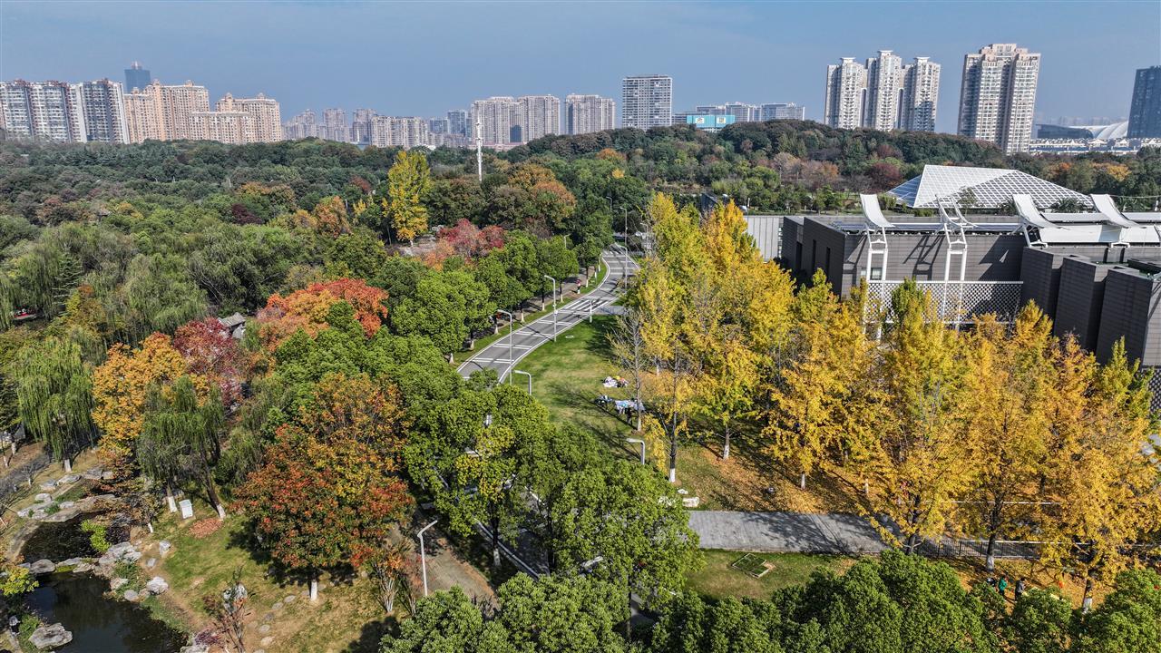 lh25111504.jpg lh25111504.jpg