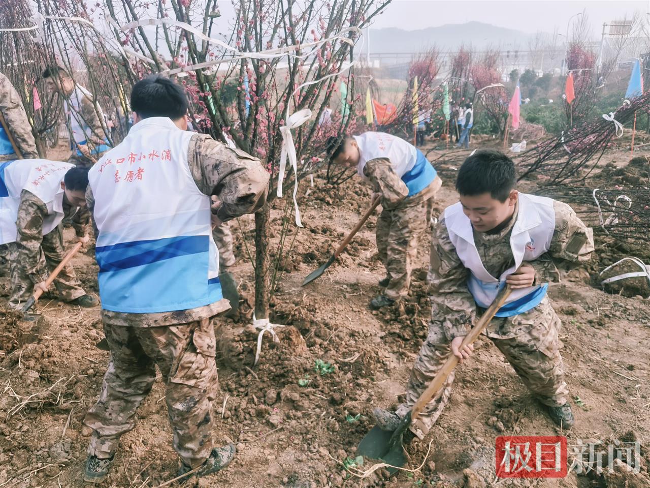  开展植树活动 (2).jpeg