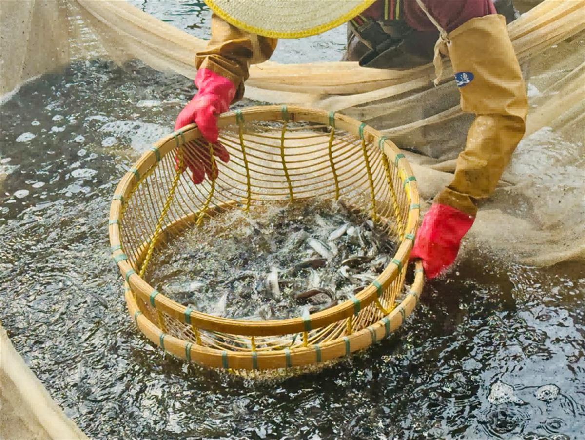 微信图片_20250414103305.png 微信图片_20250414103305.png