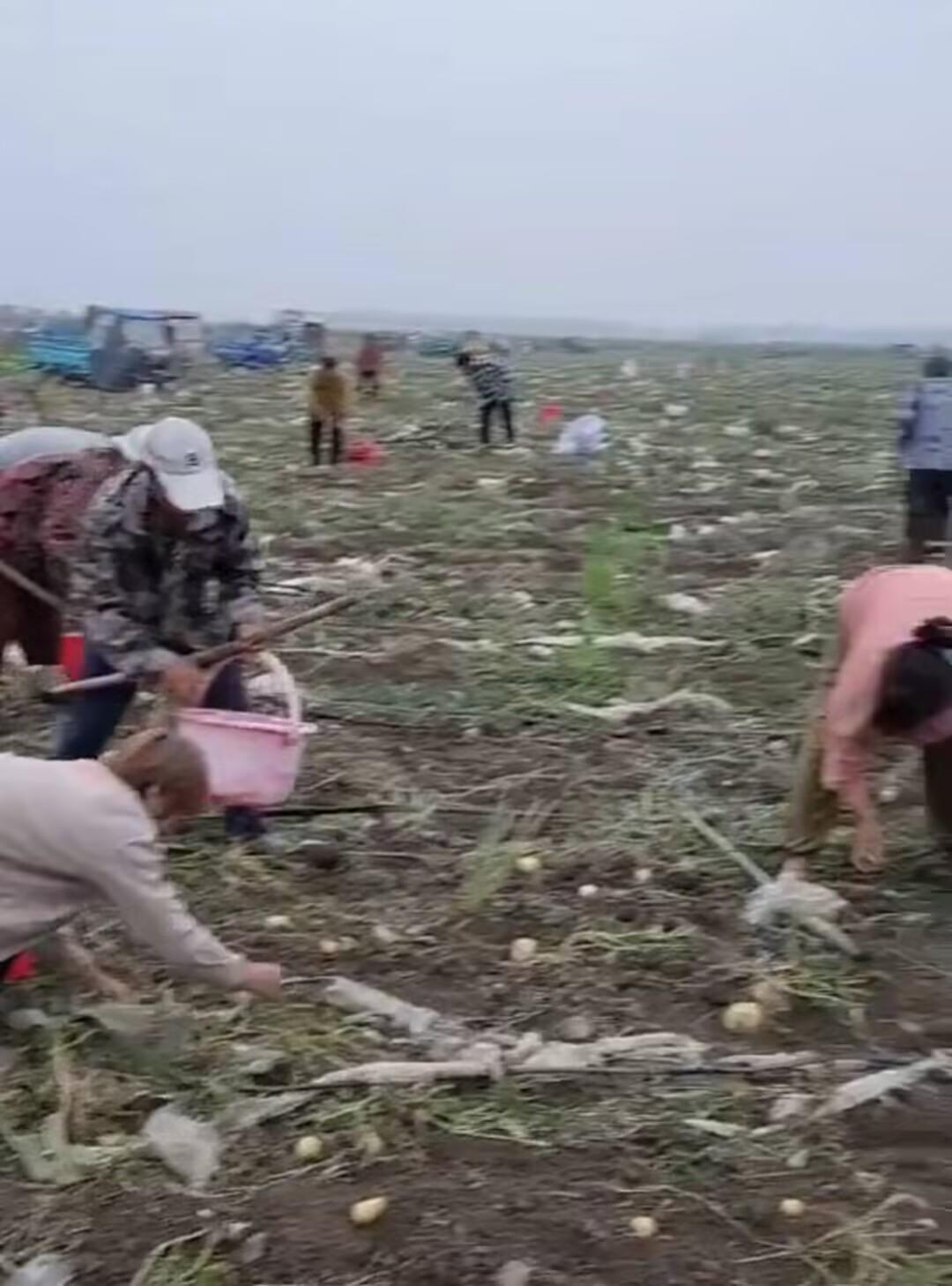 E803434B9E6FC184DB6B1993123A68E9.jpg E803434B9E6FC184DB6B1993123A68E9.jpg