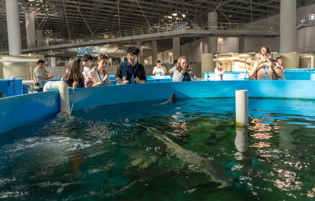 qq_pic_merged_1758270493932.jpg qq_pic_merged_1758270493932.jpg