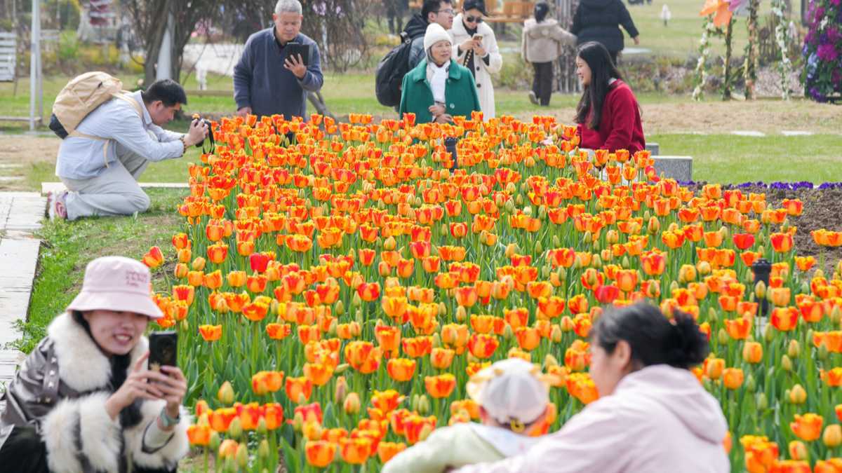 今天是武汉人最开心的一天，天气晴朗，一路繁花！