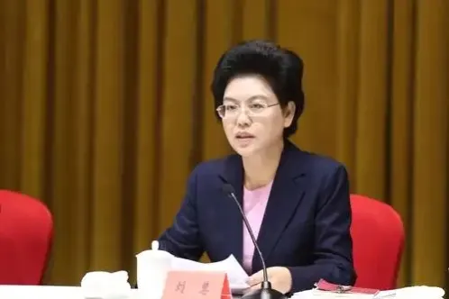 原正部级刘慧，被开除党籍 | 极目新闻