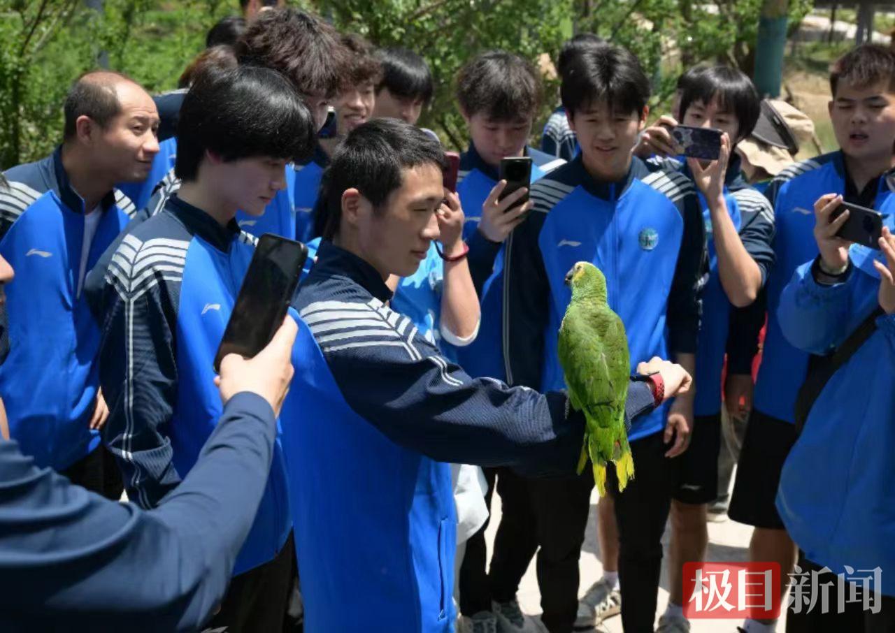 楚超鄂州队队员参观动物园.jpg
