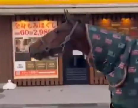 明治大学马溜出校园闲逛后自行返校事件