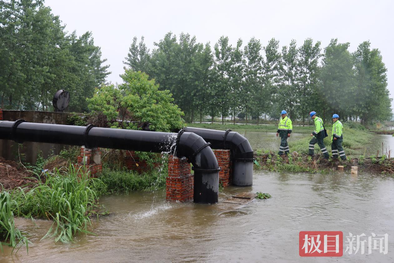 图片7.jpg 图片7.jpg