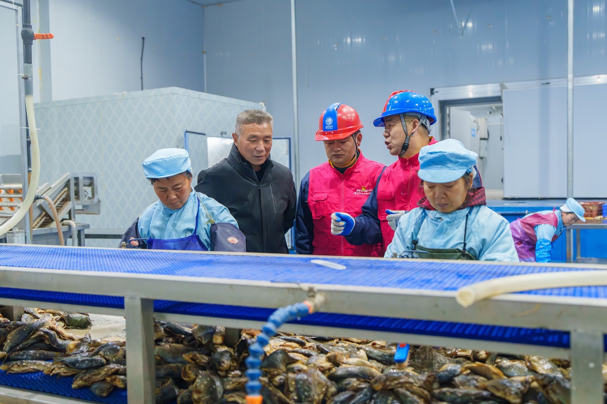 2026年02月03日,武汉供电公司员工肖铁 黄胜刚服务水产冷链企业-14.jpg 2026年02月03日,武汉供电公司员工肖铁 黄胜刚服务水产冷链企业-14.jpg