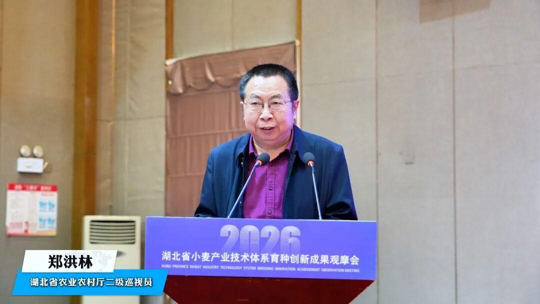 图片17.png 图片17.png