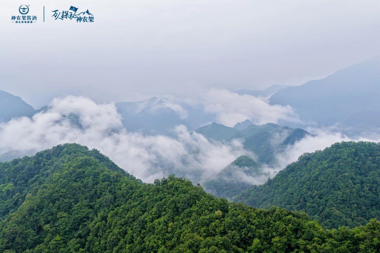 dbb6b09a98a9a804a57f66ce14c887af.jpg dbb6b09a98a9a804a57f66ce14c887af.jpg