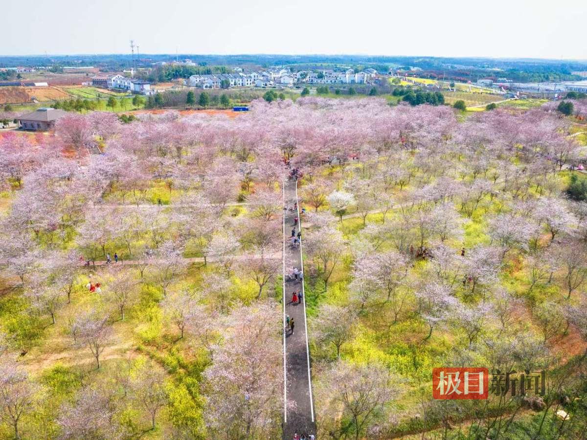 91427f85db8396fbc0933f5df3cd331f.jpg 91427f85db8396fbc0933f5df3cd331f.jpg