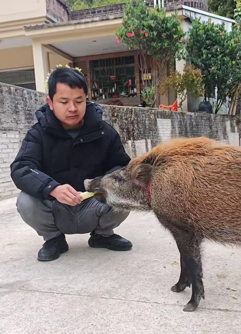 271765532408_.pic.jpg 271765532408_.pic.jpg