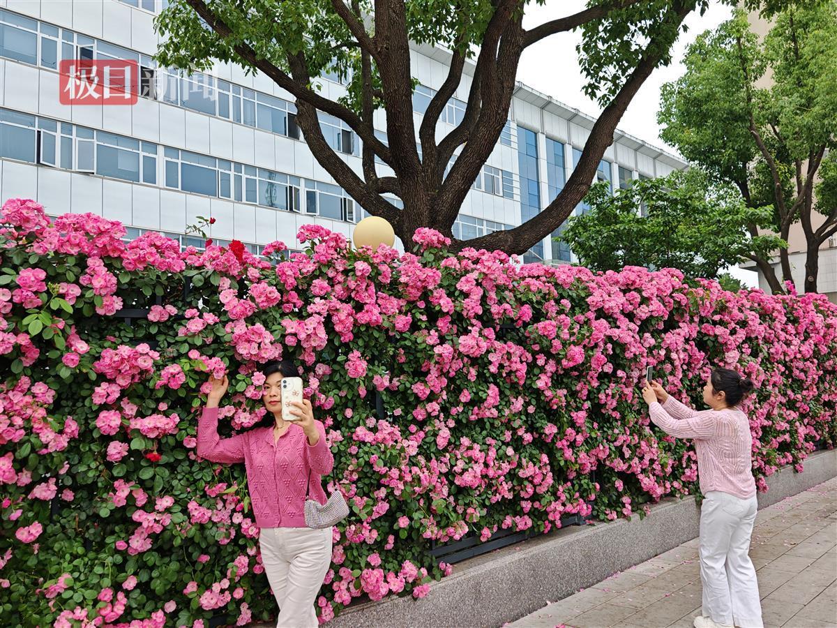 微信图片_20250422185416.jpg