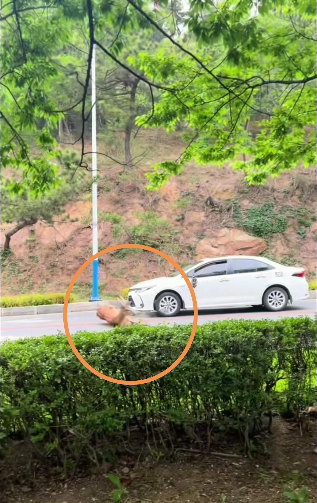 微信圖片_20250531163616.jpg