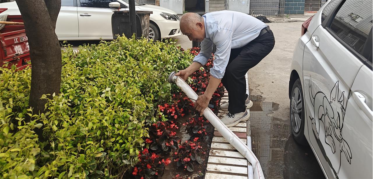 图片12.png 图片12.png