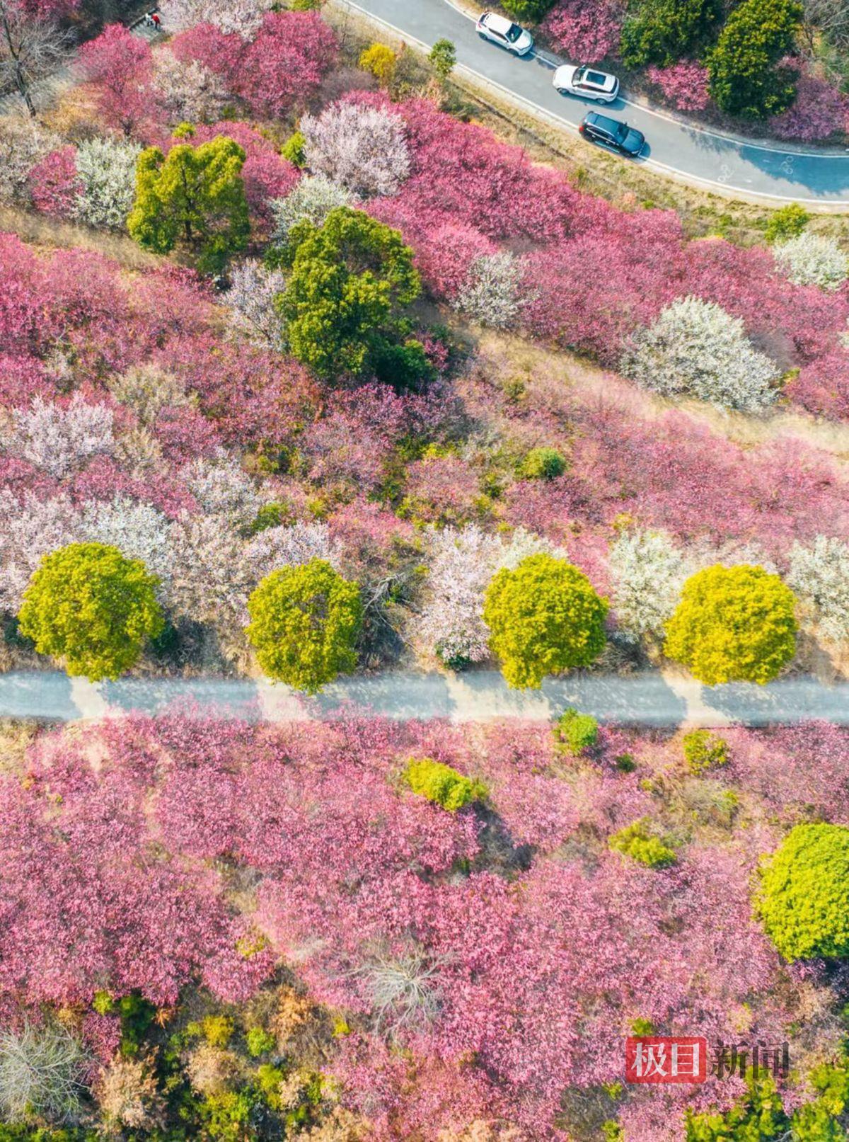 1eaa974b0911e1469ffafd94dc651f60.jpg 1eaa974b0911e1469ffafd94dc651f60.jpg