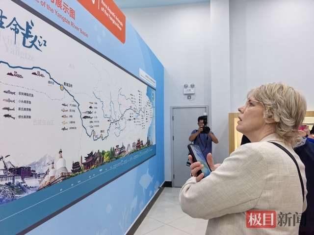 “浪漫又充满生机，令人动容”，新西兰友城副市长给武汉江豚保护打满分