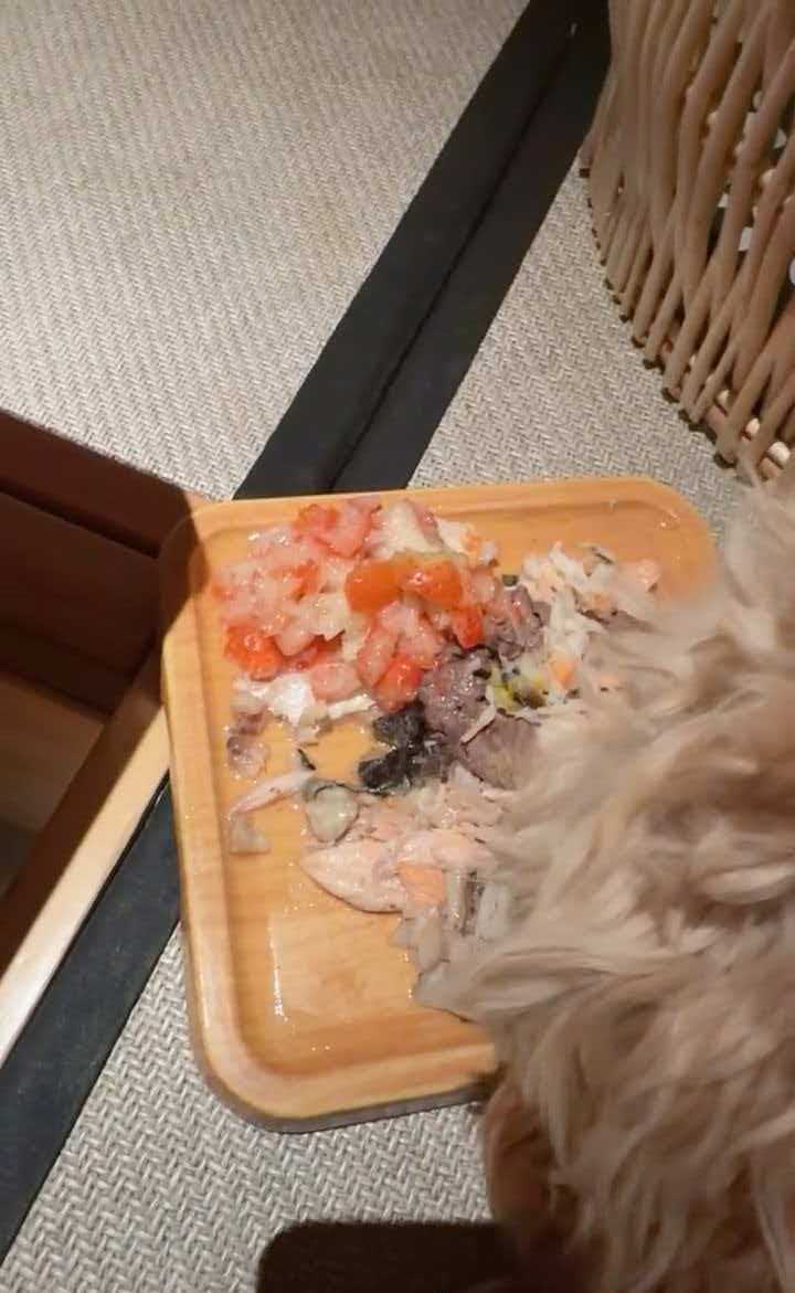 南京一顾客被曝用餐厅盘子喂狗，店员：涉事餐具已废弃，将全面消杀并追责